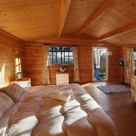 Room In Cabin - El Azul Romantica Cabana De Madera Con Vista